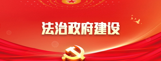 法治政府建设